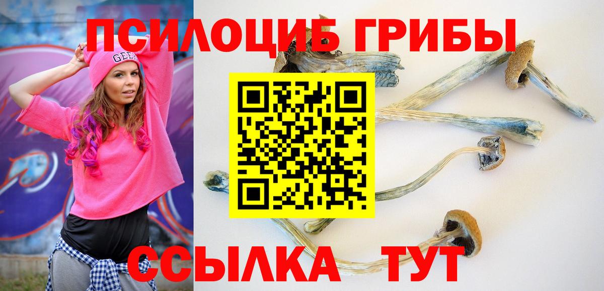купить  сайты  Псилоцибиновые грибы GOLDEN TEACHER  Вход с VPN  Дубна 